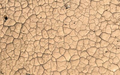 La desertificación de España es de las peores